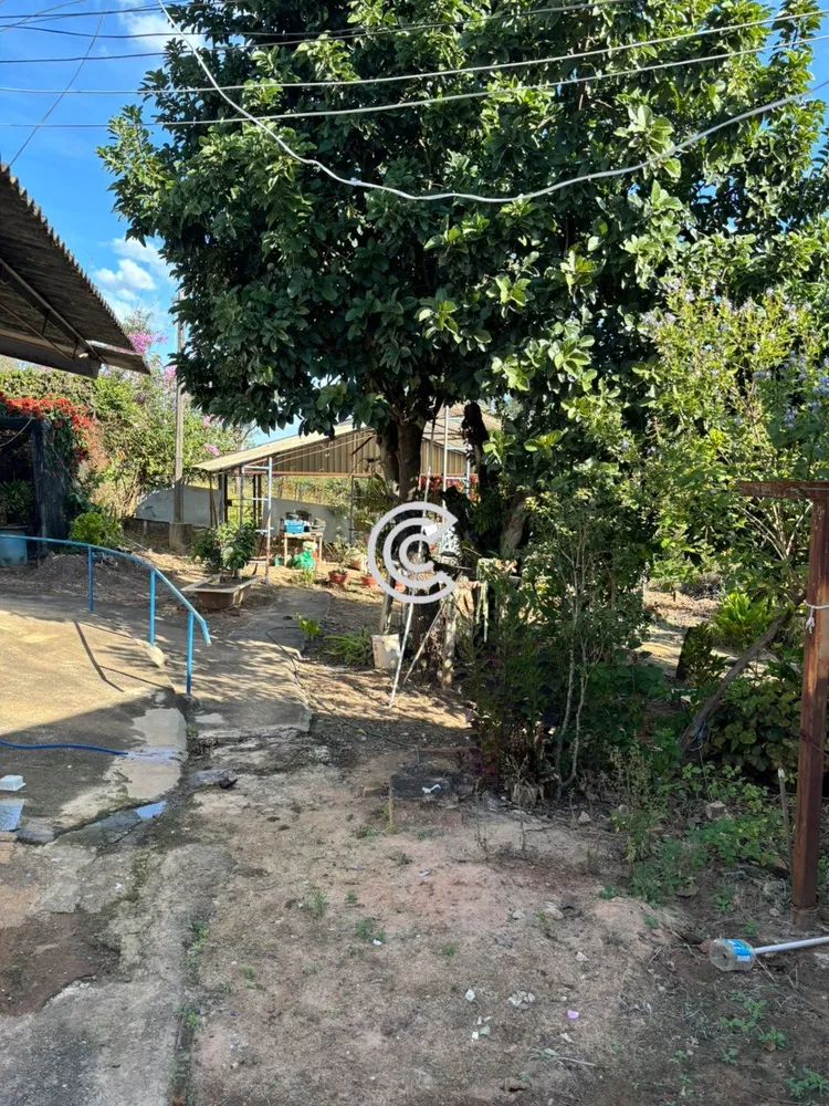 Terreno, 12 hectares - Foto 8