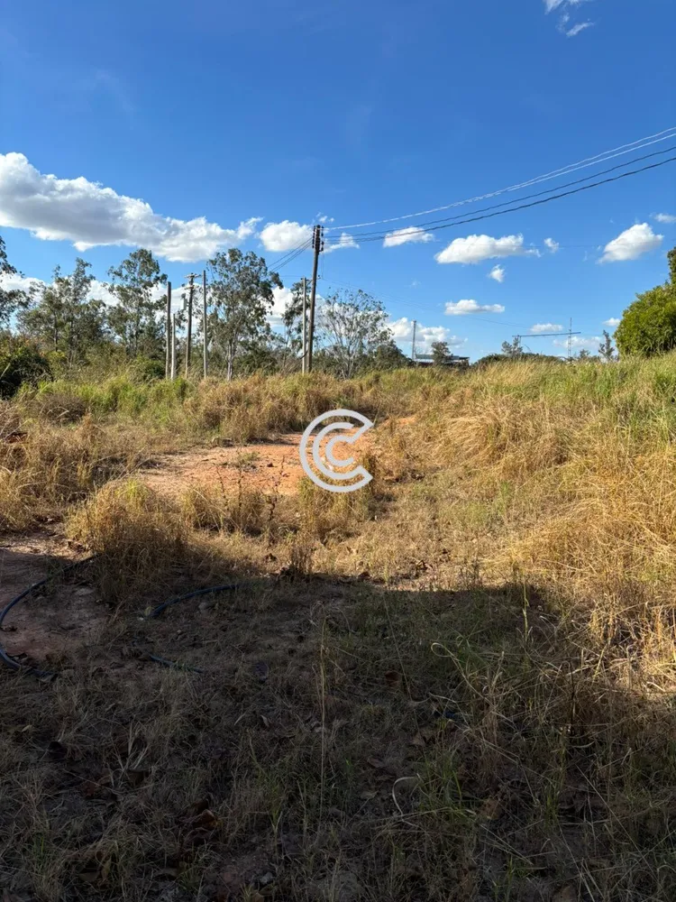 Terreno, 12 hectares - Foto 4
