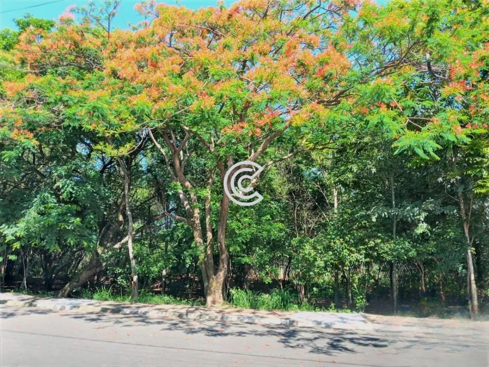 Casa, 3 quartos, 250 m² - Foto 8