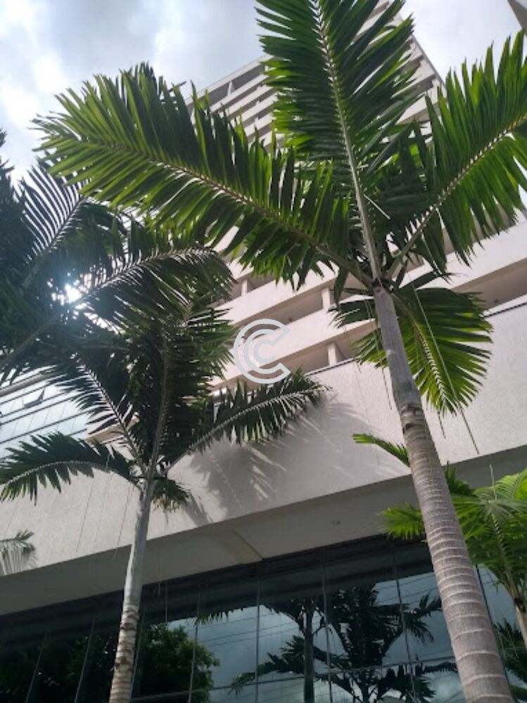 Sala-Conjunto, 43 m² - Foto 2