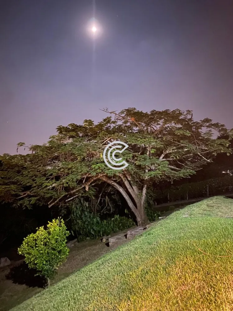 Chácara, 4 quartos - Foto 6
