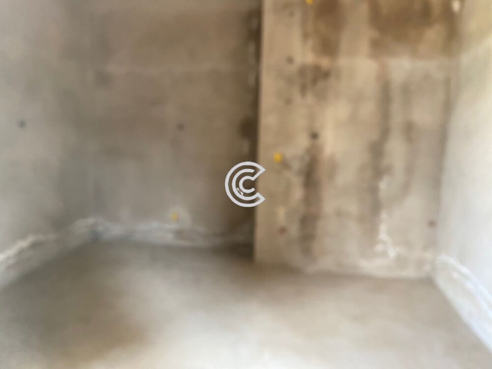 Casa, 3 quartos, 360 m² - Foto 6