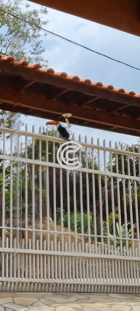 Chácara, 3 quartos - Foto 1