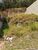 Terreno, 250 m² - Foto 1