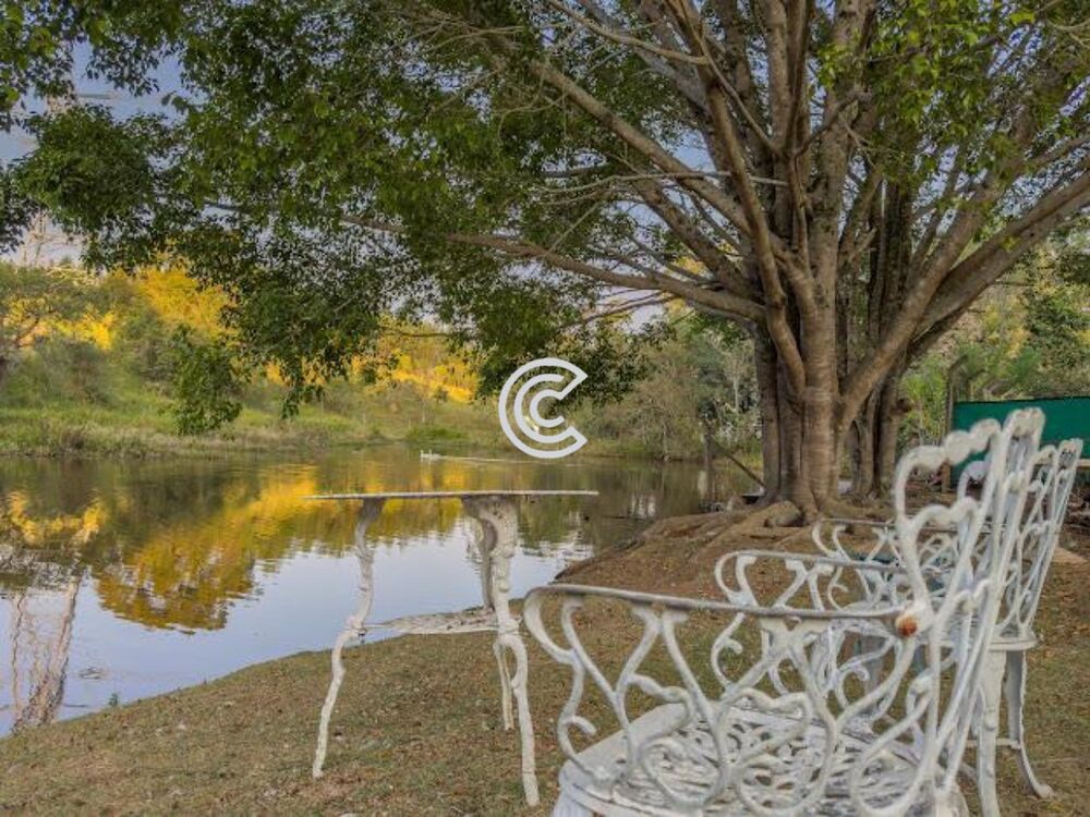 Chácara, 5 quartos - Foto 6