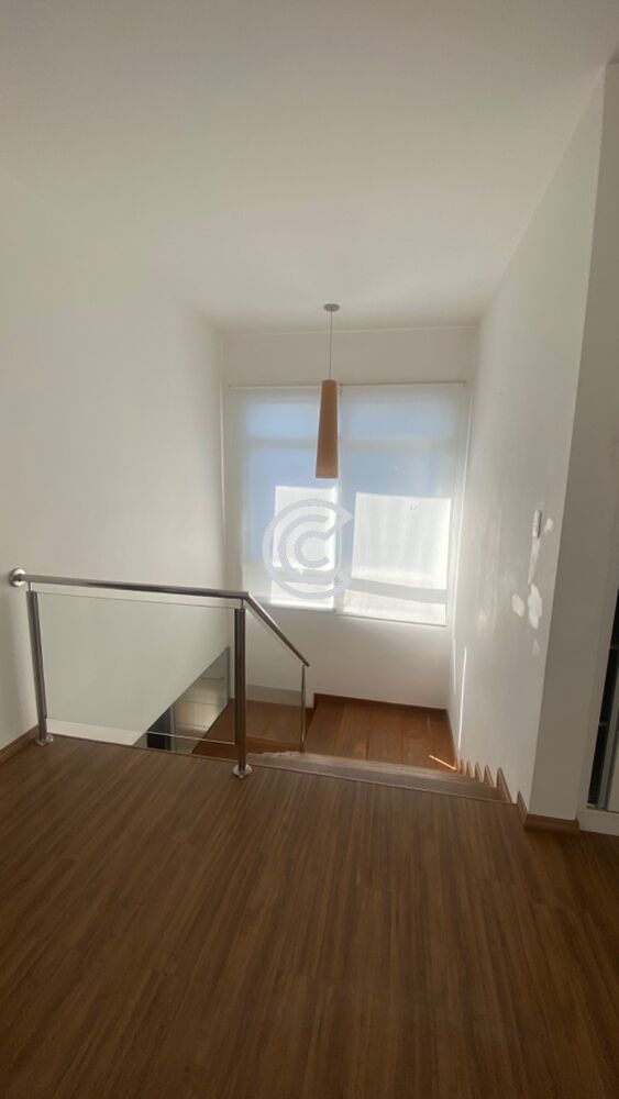 Casa, 3 quartos, 331 m² - Foto 3