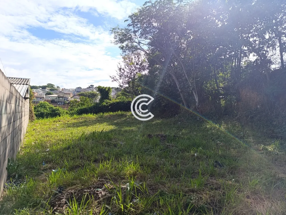 Terreno, 363 m² - Foto 5
