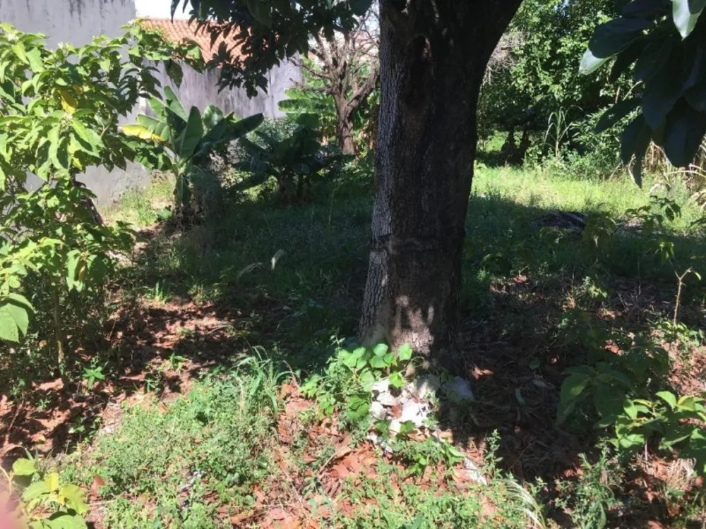 Terreno, 511 m² - Foto 10