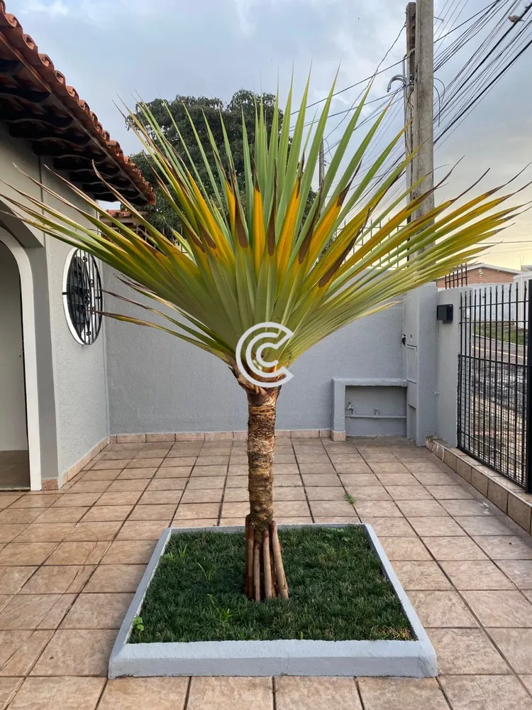Casa, 3 quartos, 250 m² - Foto 2