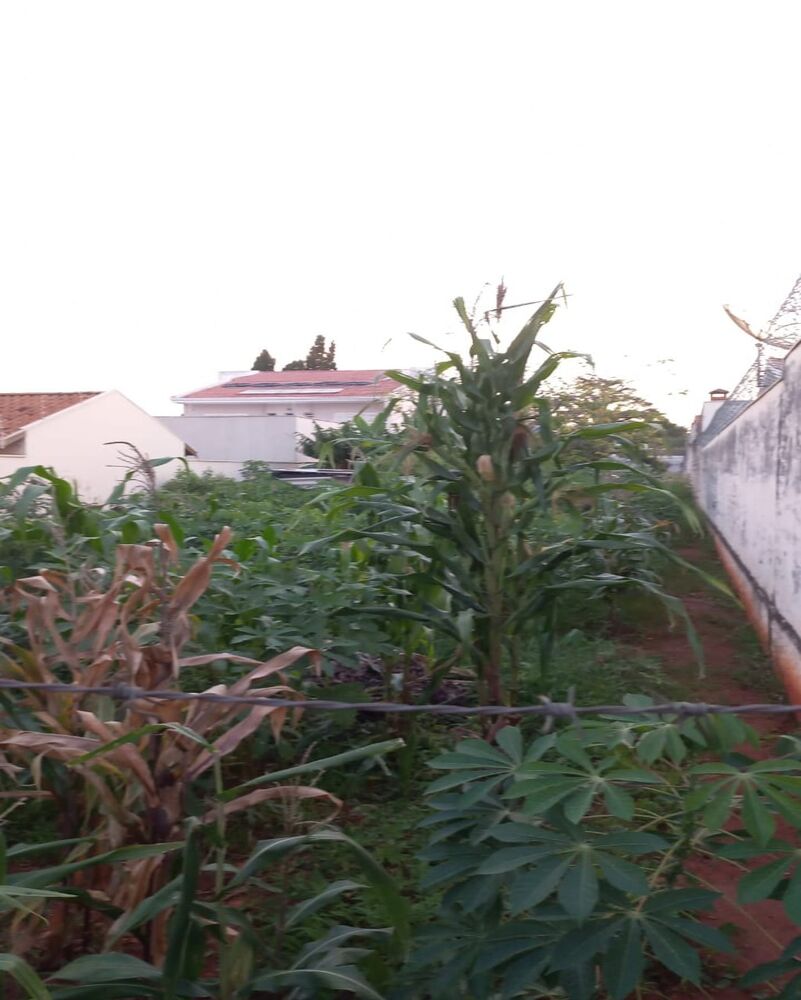 Terreno, 360 m² - Foto 5