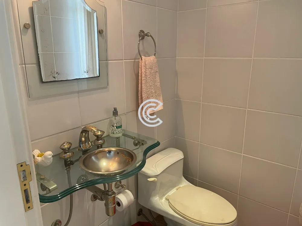 Casa, 4 quartos, 337 m² - Foto 10