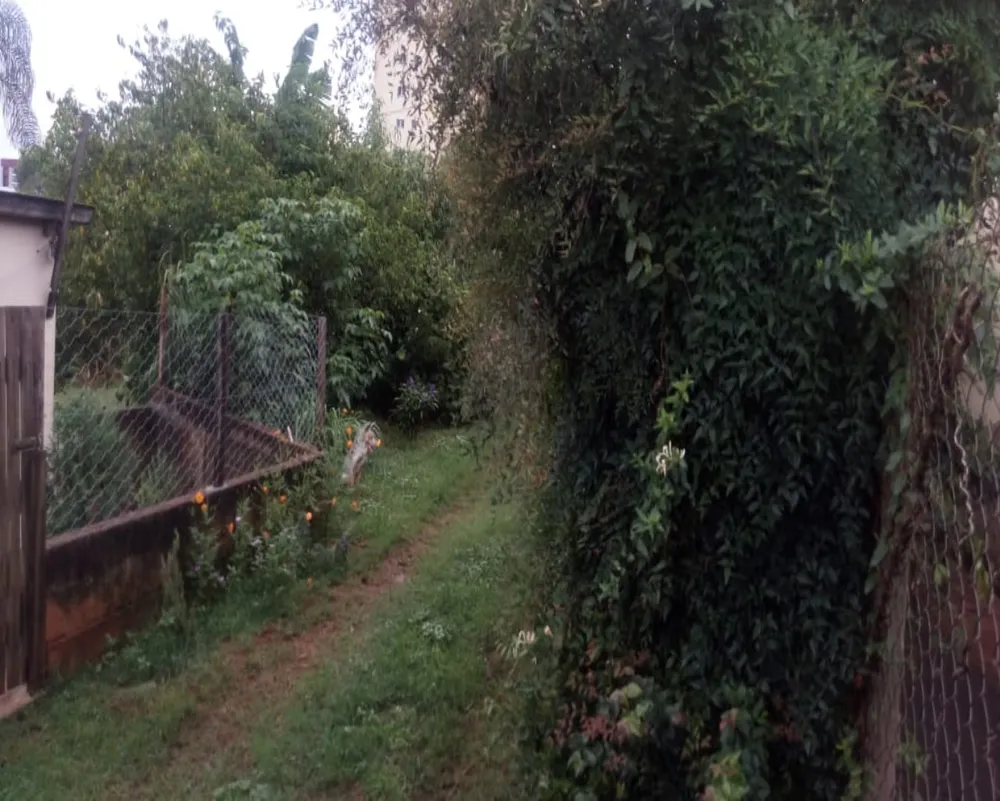 Loteamento e Condomínio, 3000 m² - Foto 2
