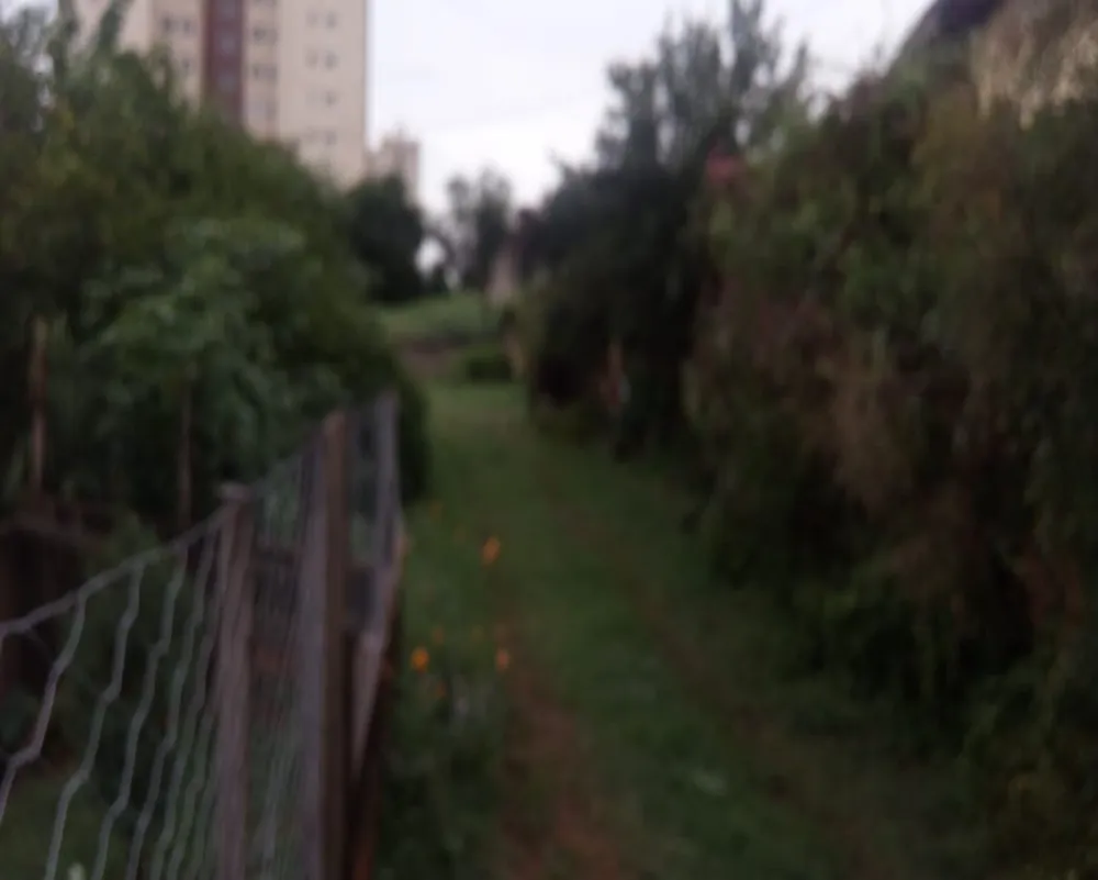 Loteamento e Condomínio, 3000 m² - Foto 5