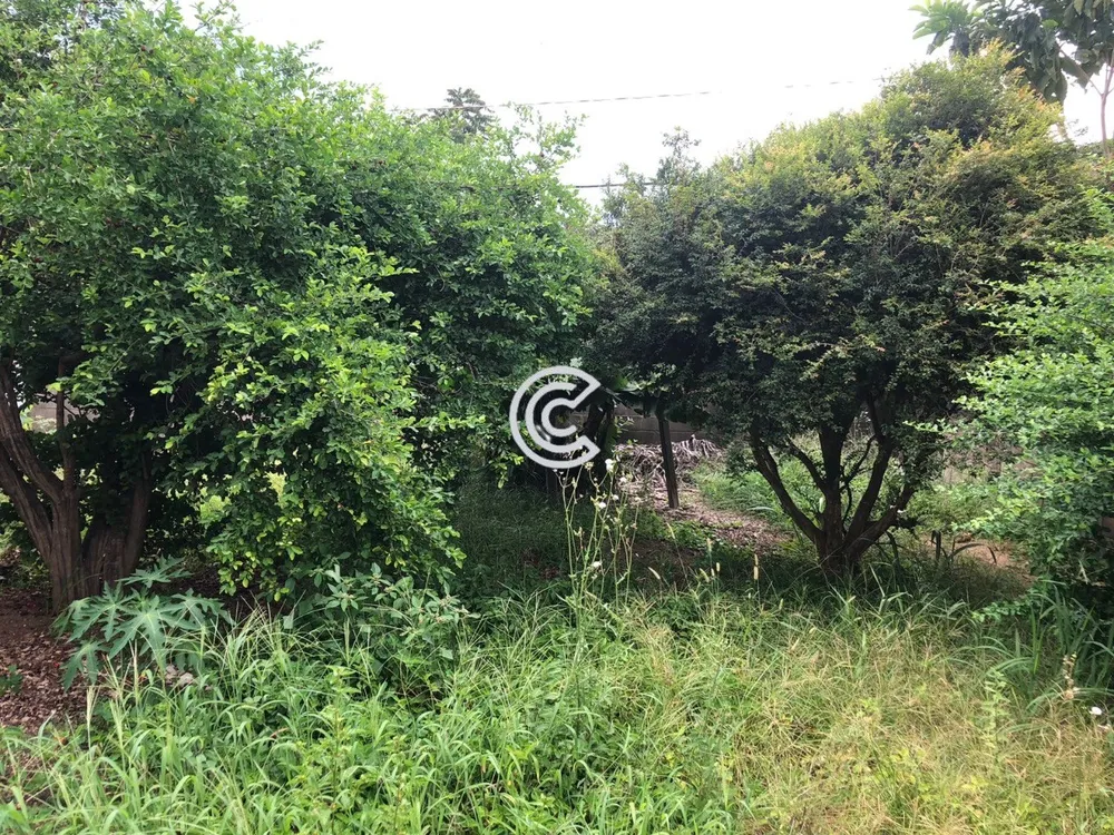 Terreno, 335 m² - Foto 7