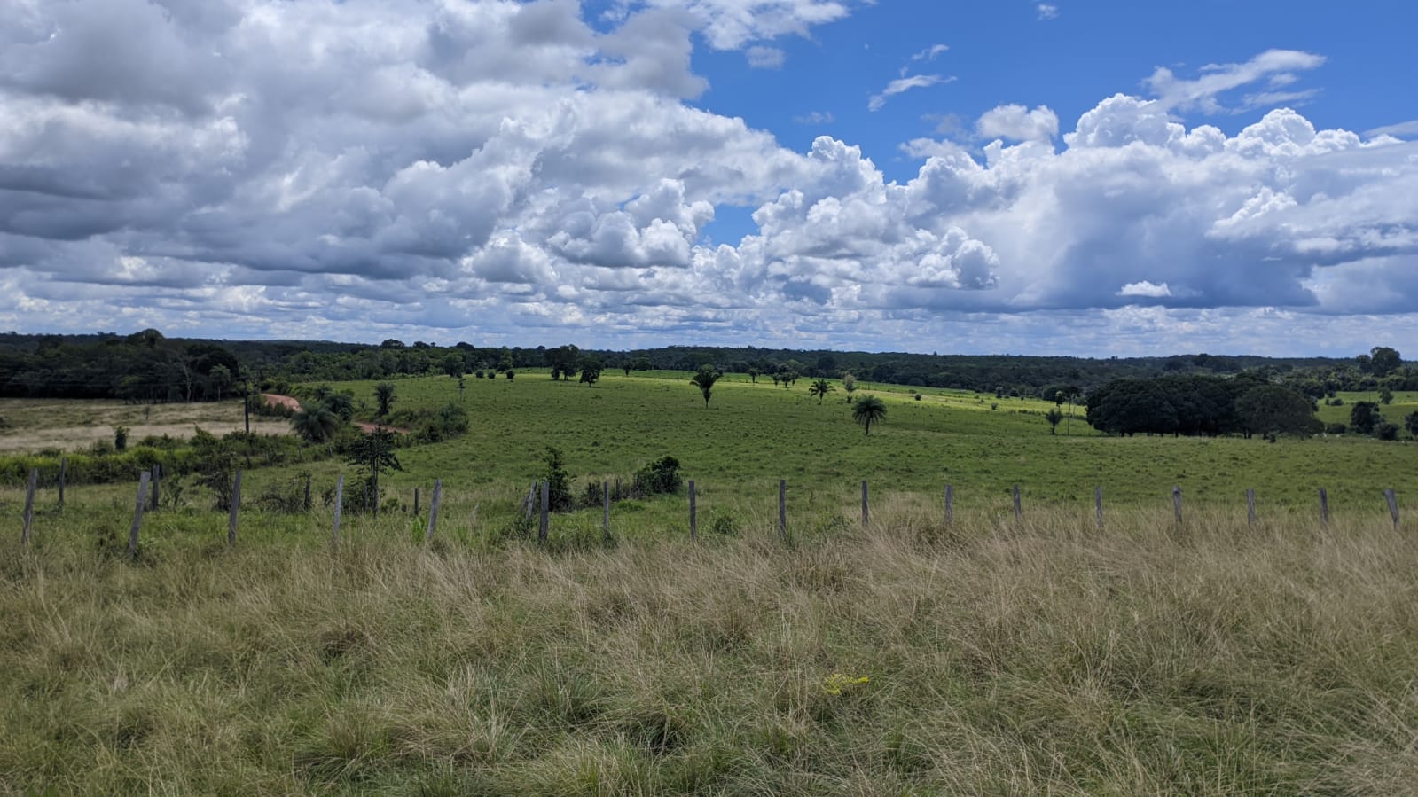 Fazenda à venda com 3 quartos, 375m² - Foto 4