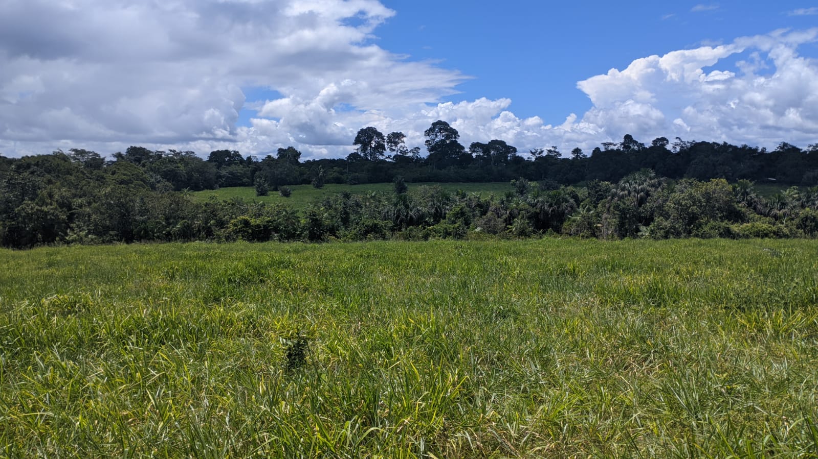 Fazenda à venda com 3 quartos, 375m² - Foto 2