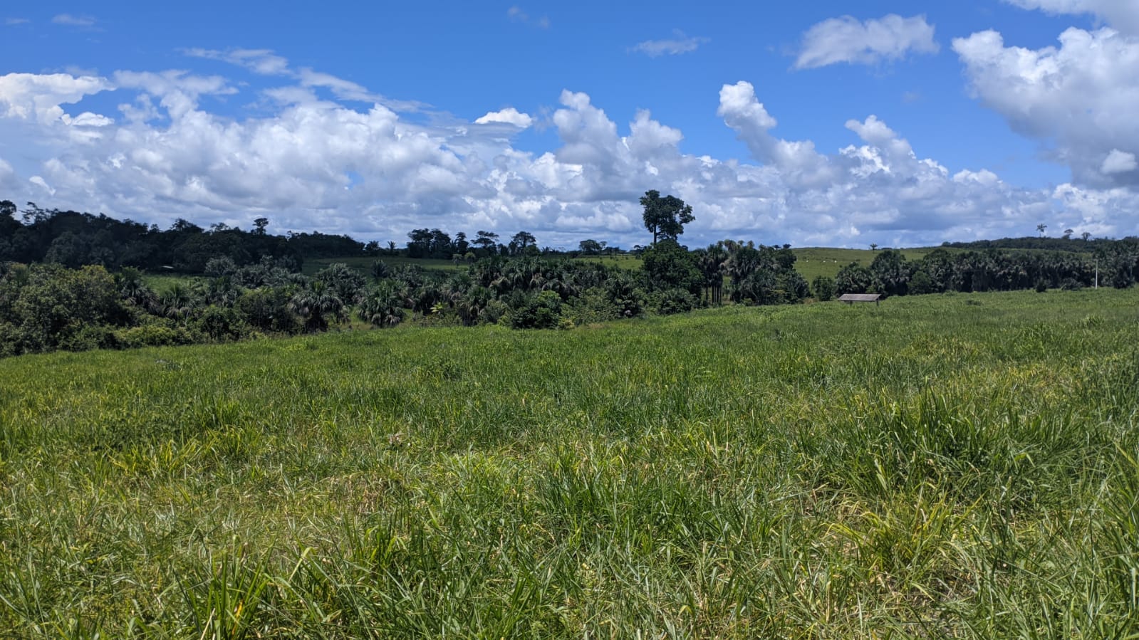 Fazenda à venda com 3 quartos, 375m² - Foto 14