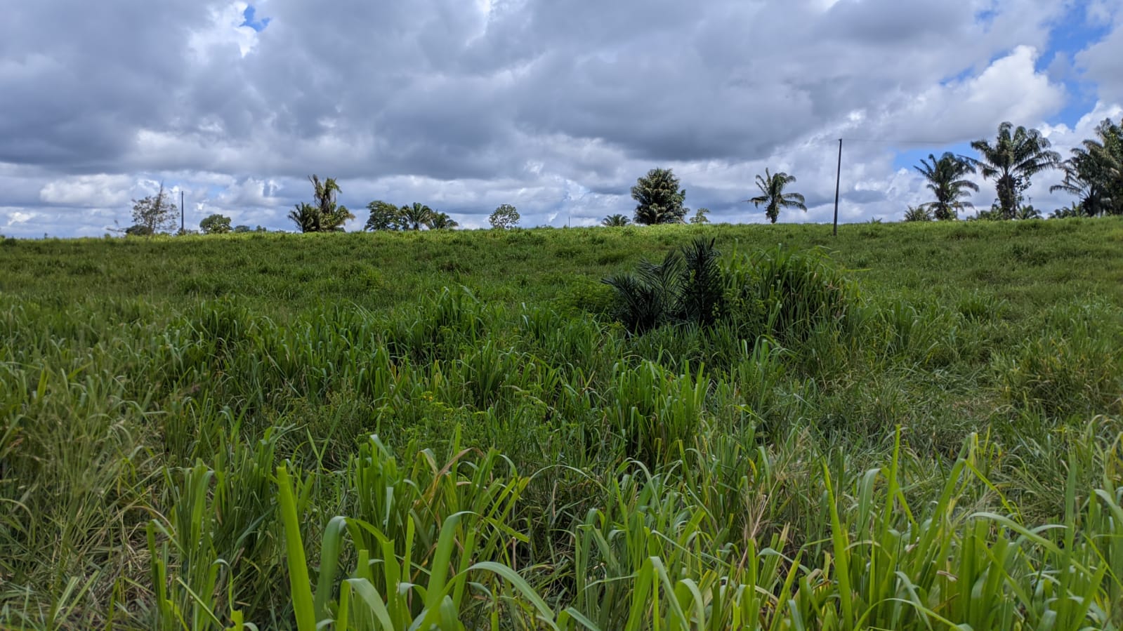 Fazenda à venda com 3 quartos, 375m² - Foto 20