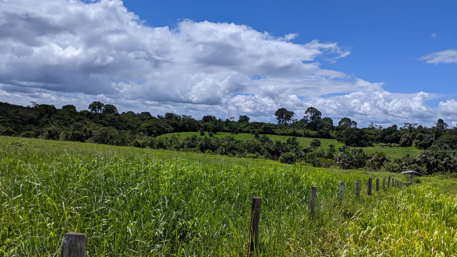 Fazenda à venda com 3 quartos, 375m² - Foto 10