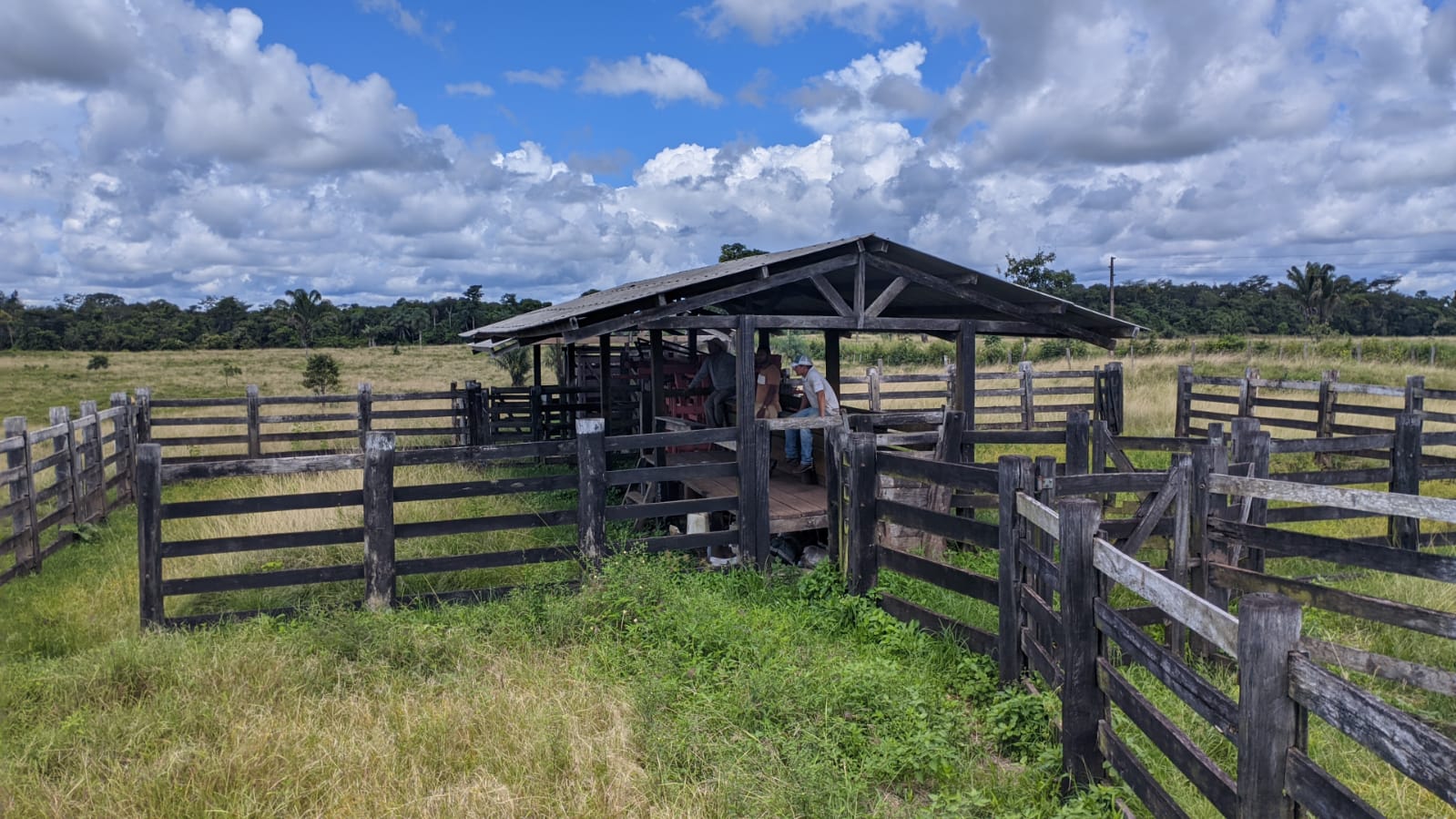 Fazenda à venda com 3 quartos, 375m² - Foto 26