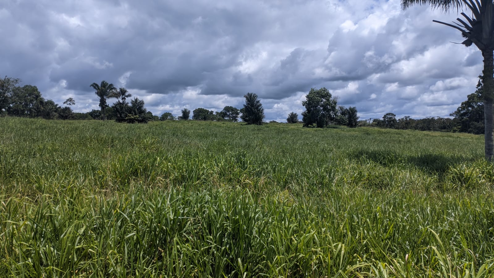 Fazenda à venda com 3 quartos, 375m² - Foto 5