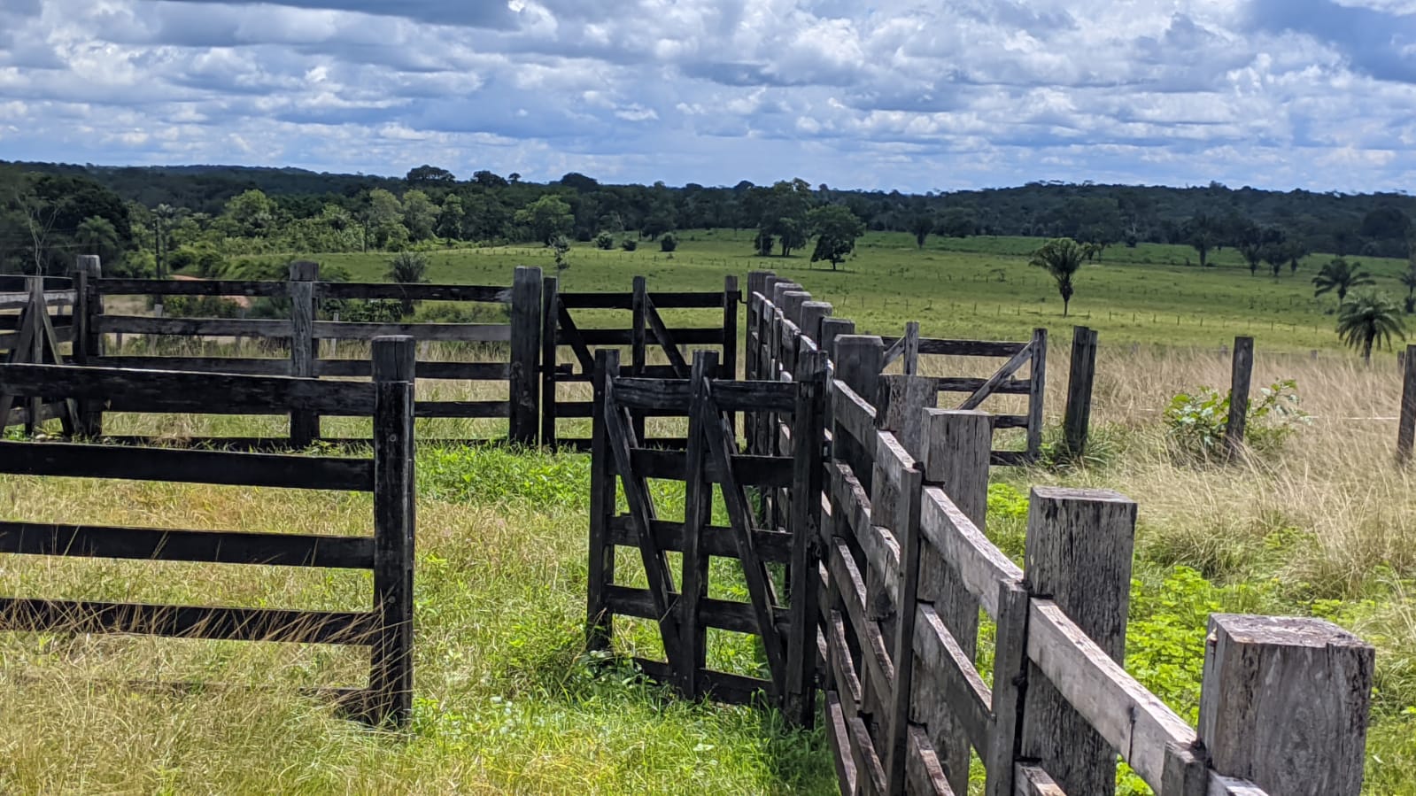 Fazenda à venda com 3 quartos, 375m² - Foto 11