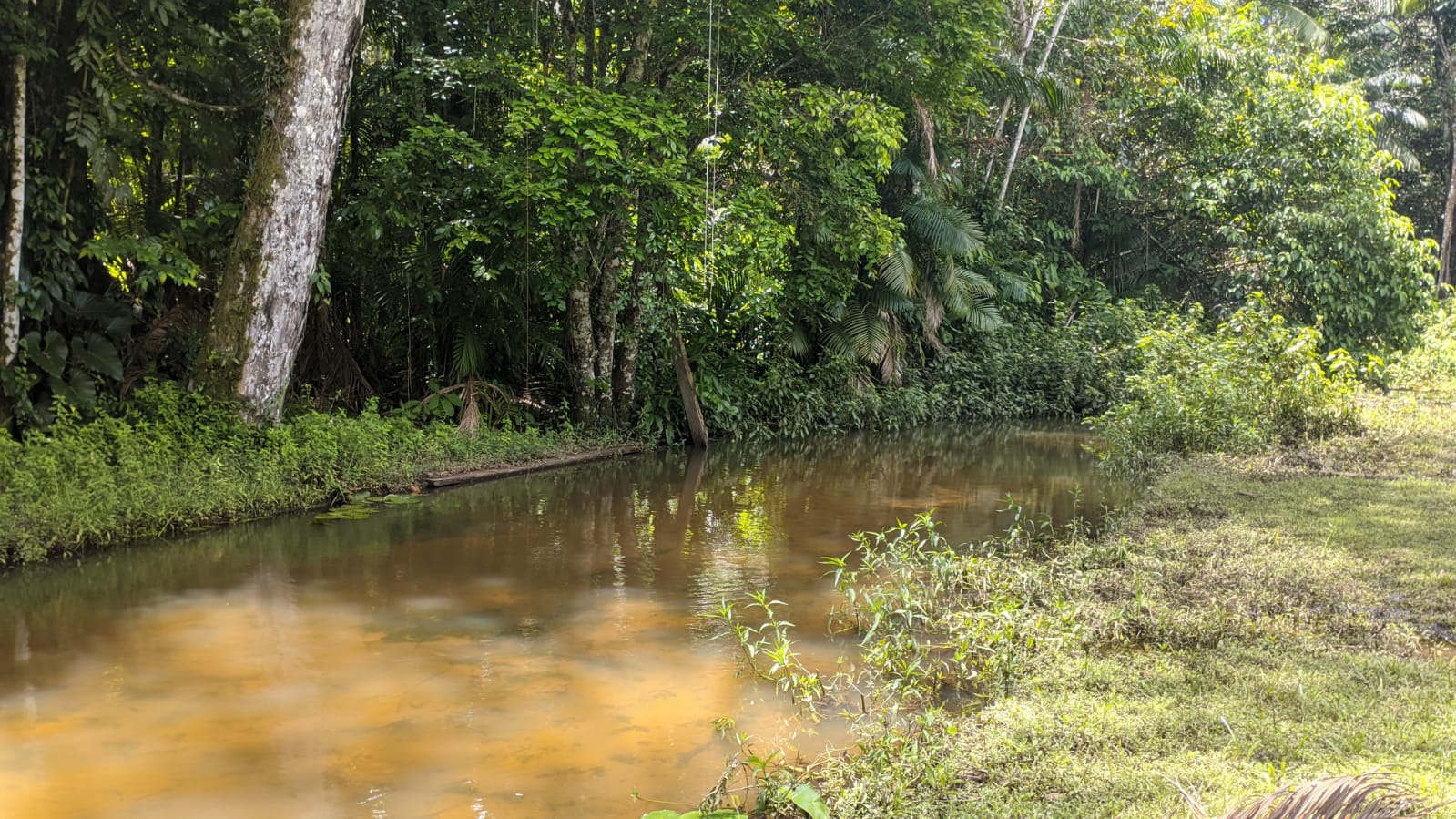 Fazenda à venda com 3 quartos, 1800m² - Foto 20