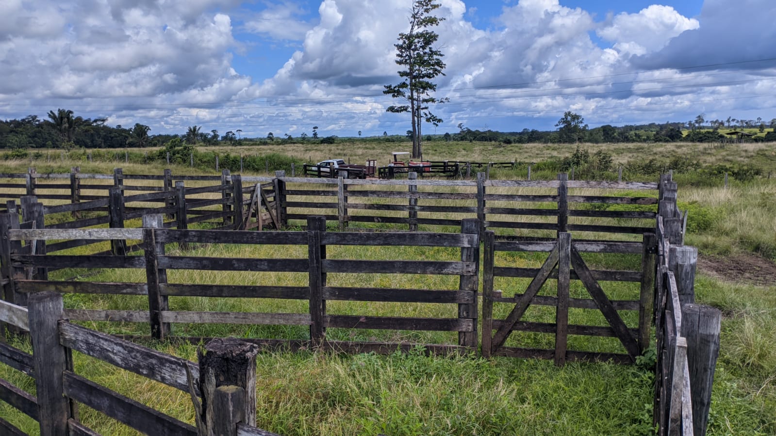 Fazenda à venda com 3 quartos, 1800m² - Foto 9