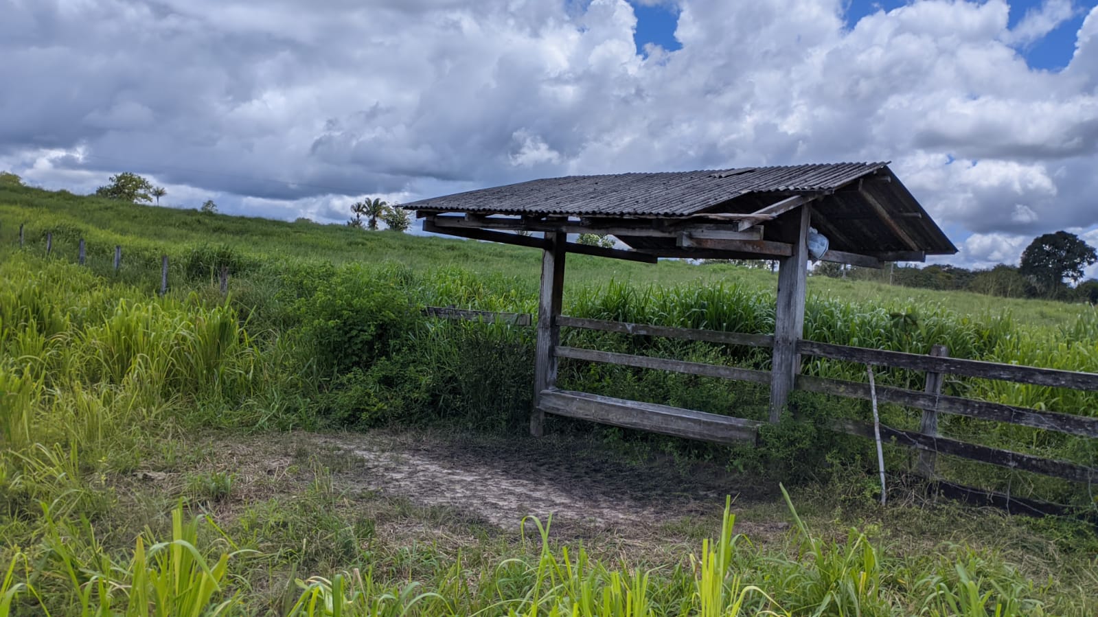 Fazenda à venda com 3 quartos, 1800m² - Foto 18