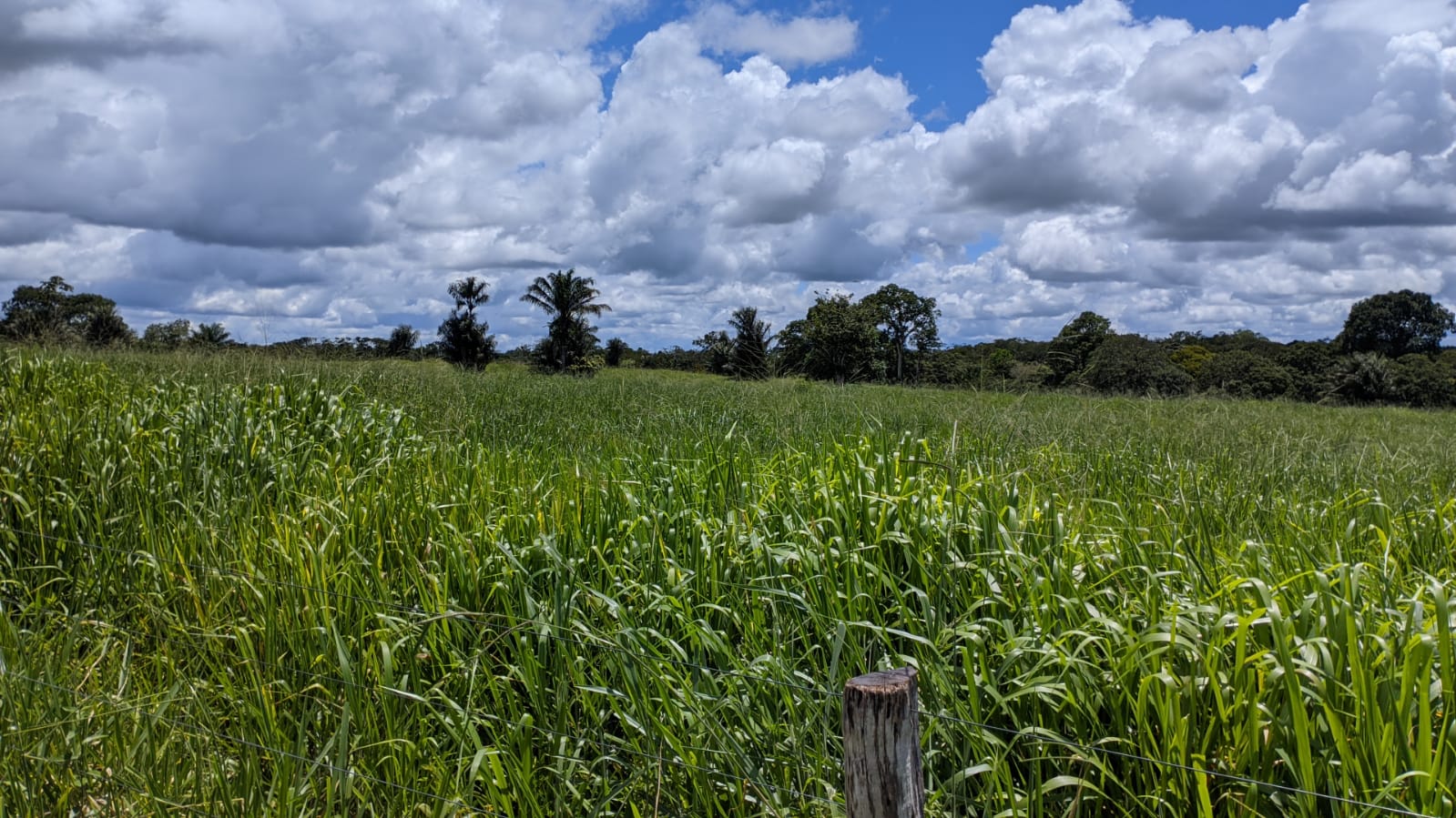 Fazenda à venda com 3 quartos, 1800m² - Foto 11