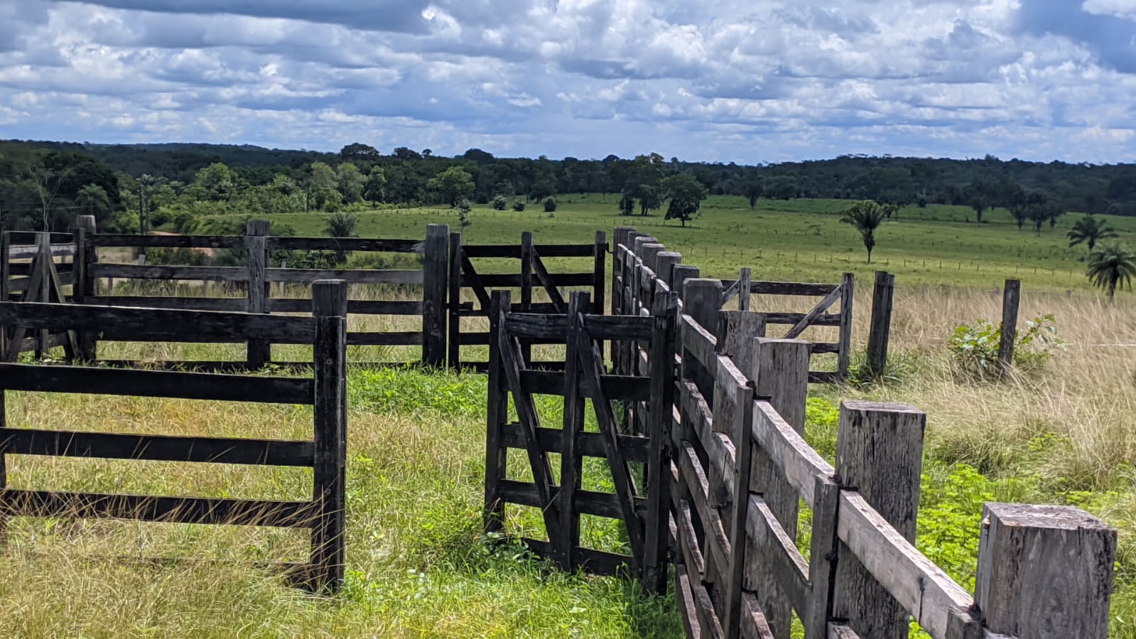 Fazenda à venda com 3 quartos, 1800m² - Foto 25