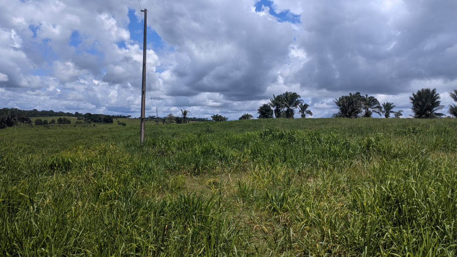 Fazenda à venda com 3 quartos, 1800m² - Foto 5