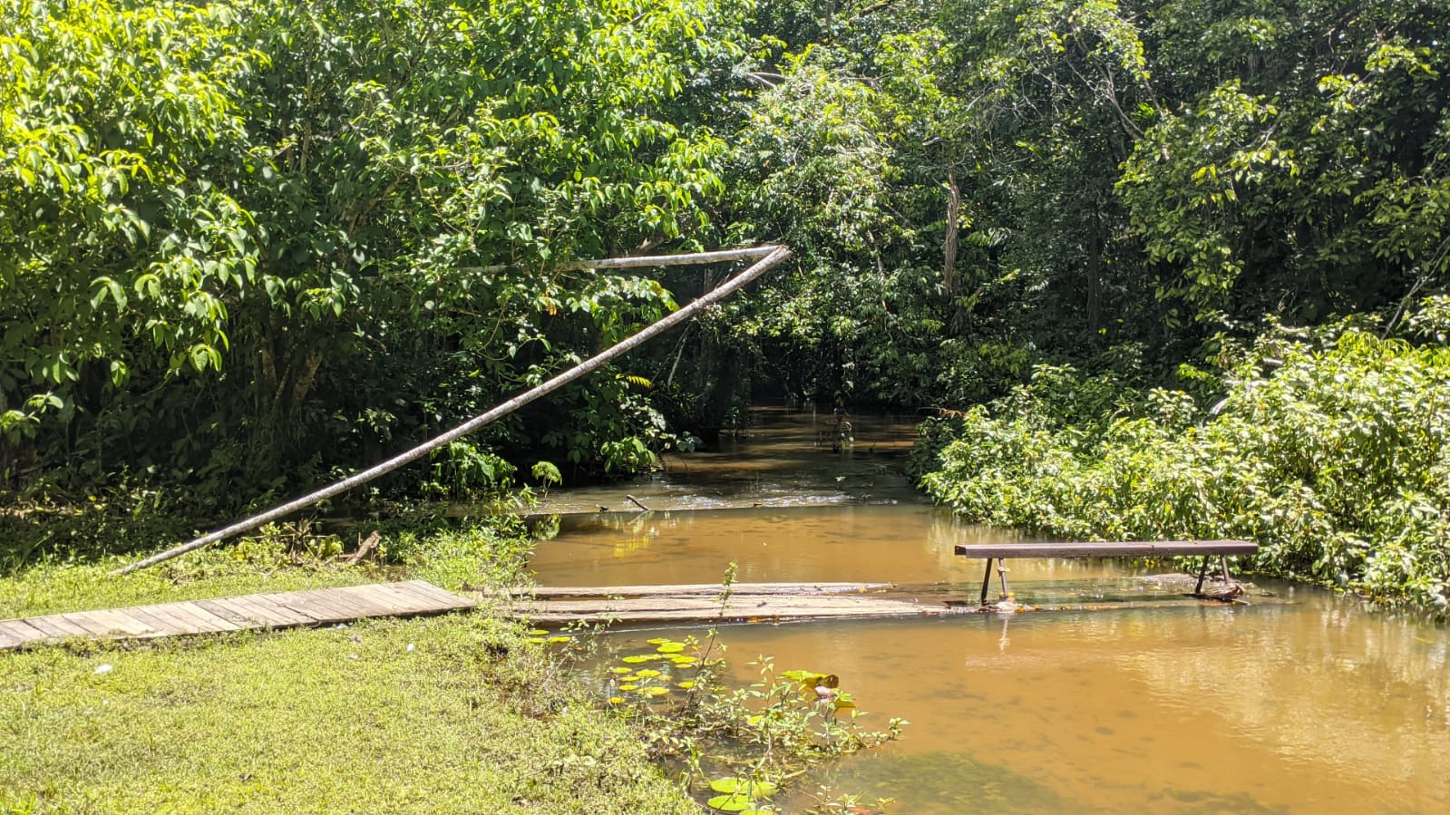 Fazenda à venda com 3 quartos, 1800m² - Foto 14