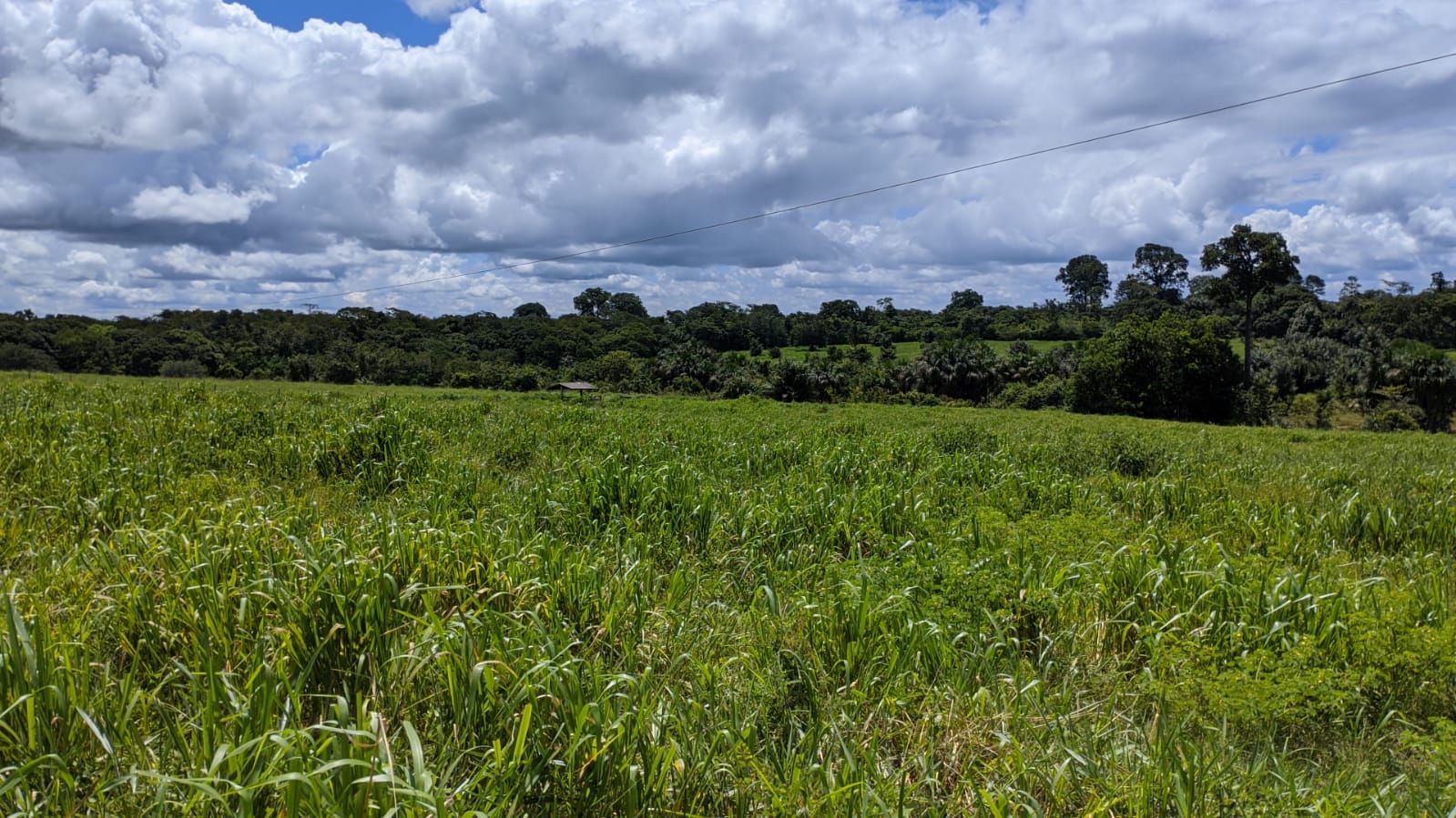 Fazenda à venda com 3 quartos, 1800m² - Foto 28