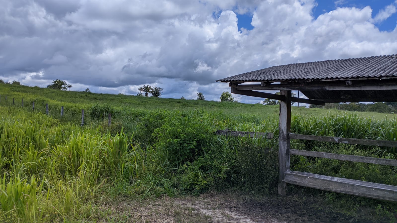 Fazenda à venda com 3 quartos, 1800m² - Foto 12