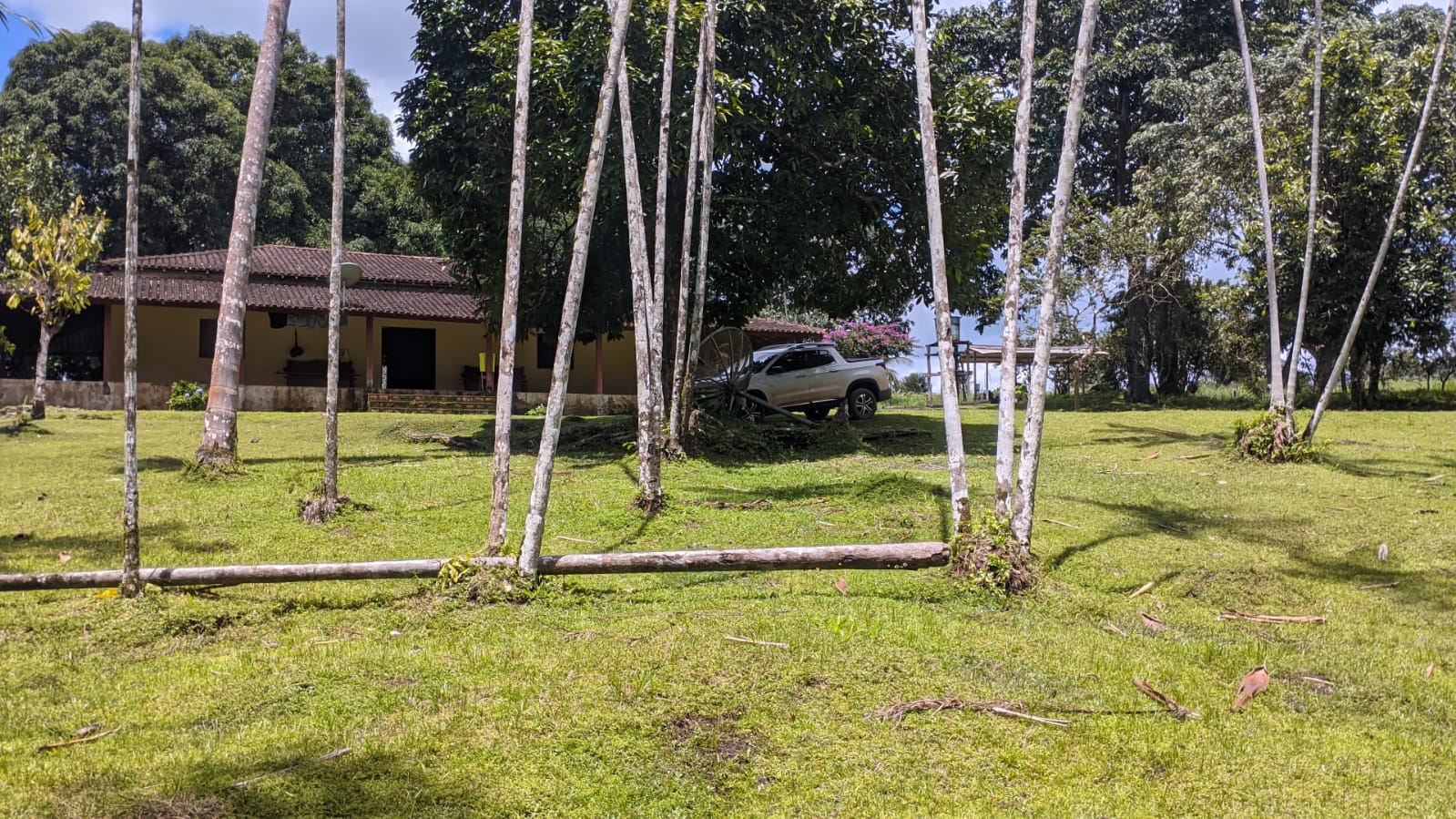 Fazenda à venda com 3 quartos, 1800m² - Foto 26