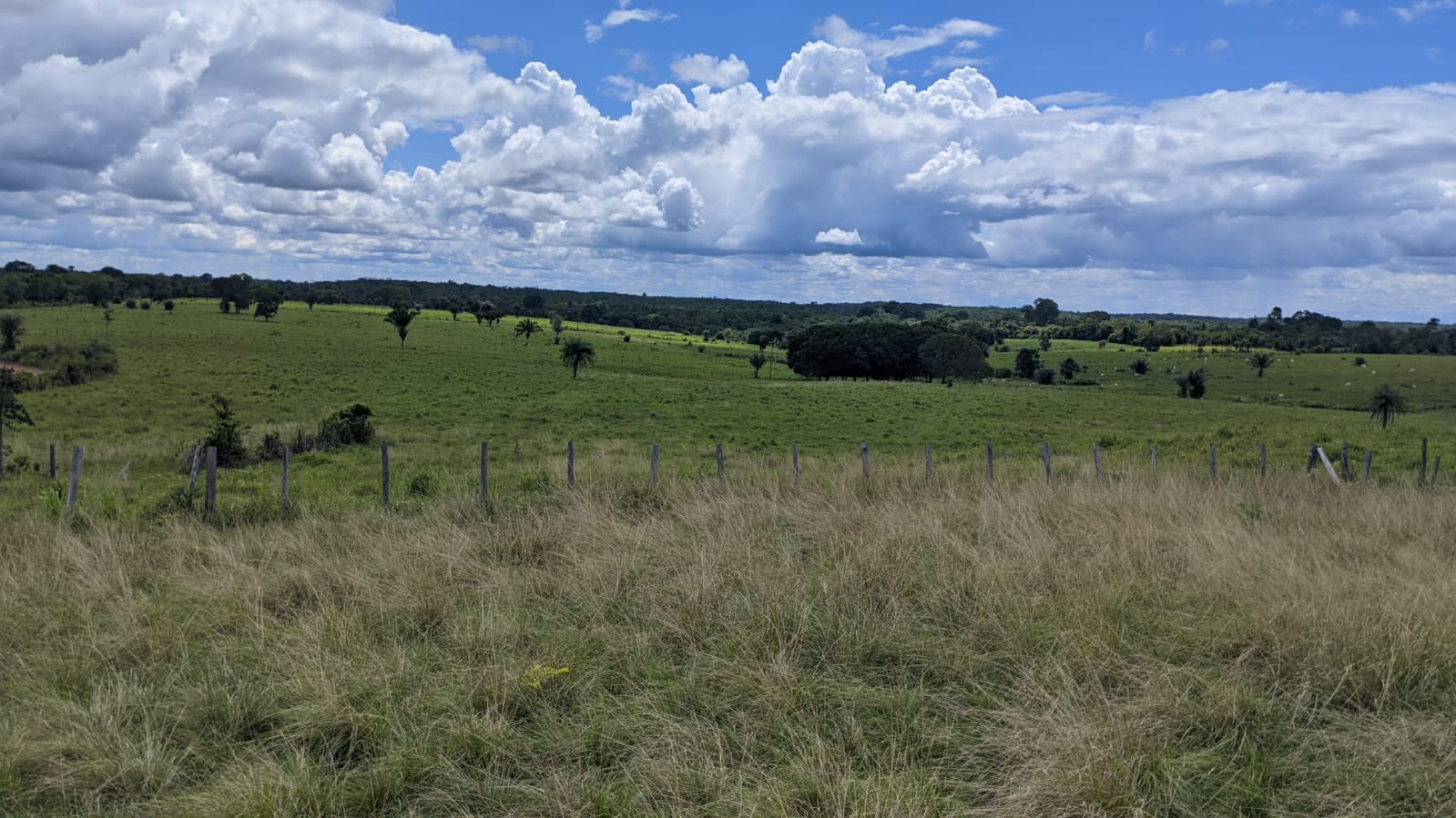 Fazenda à venda com 3 quartos, 1800m² - Foto 16