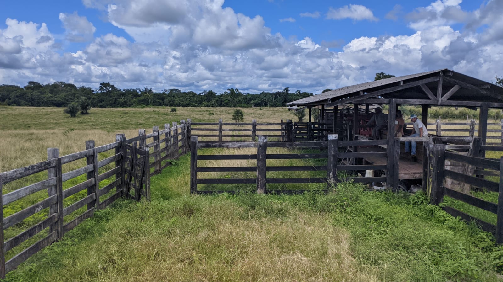 Fazenda à venda com 3 quartos, 1800m² - Foto 7