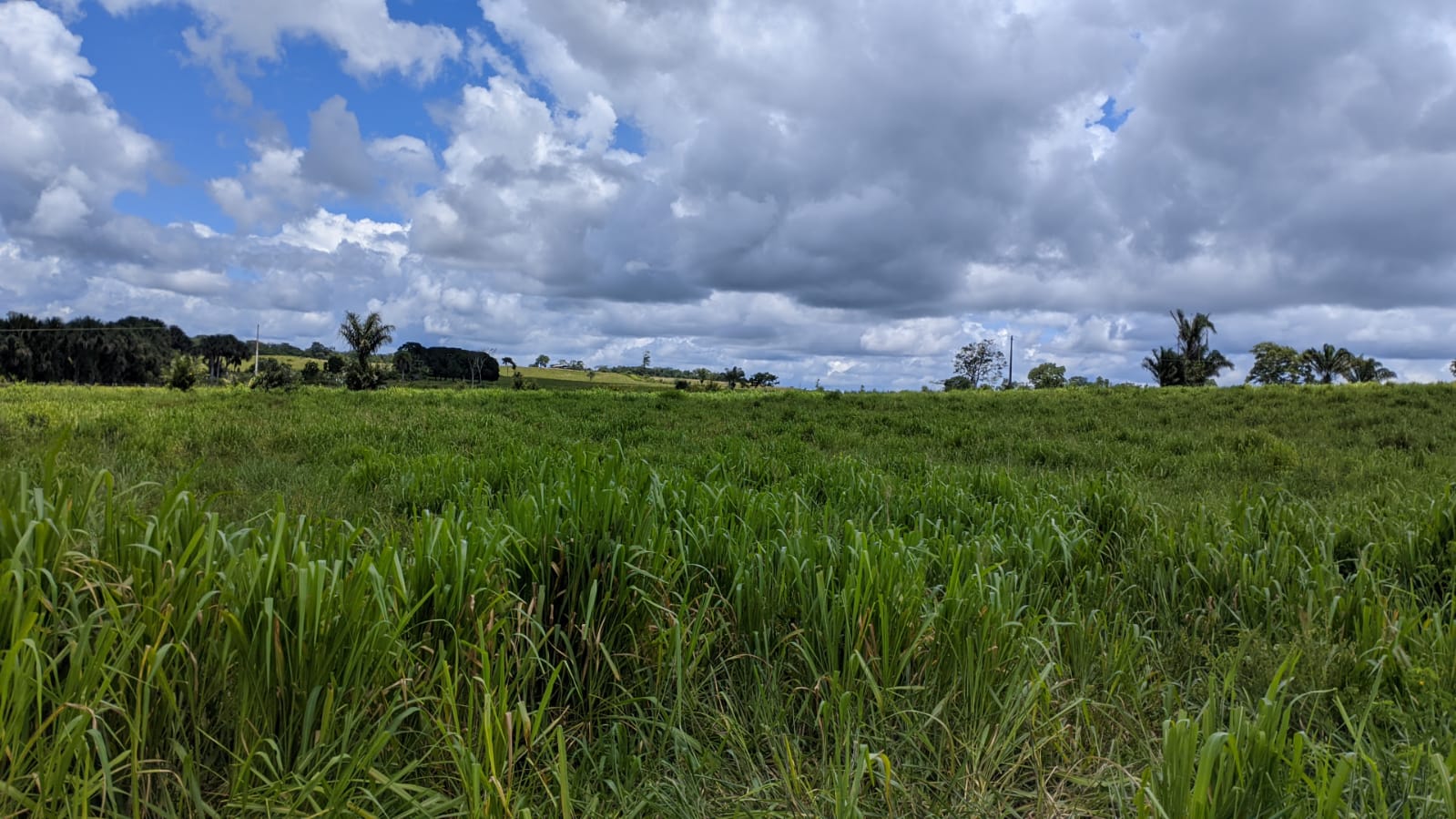 Fazenda à venda com 3 quartos, 1800m² - Foto 21