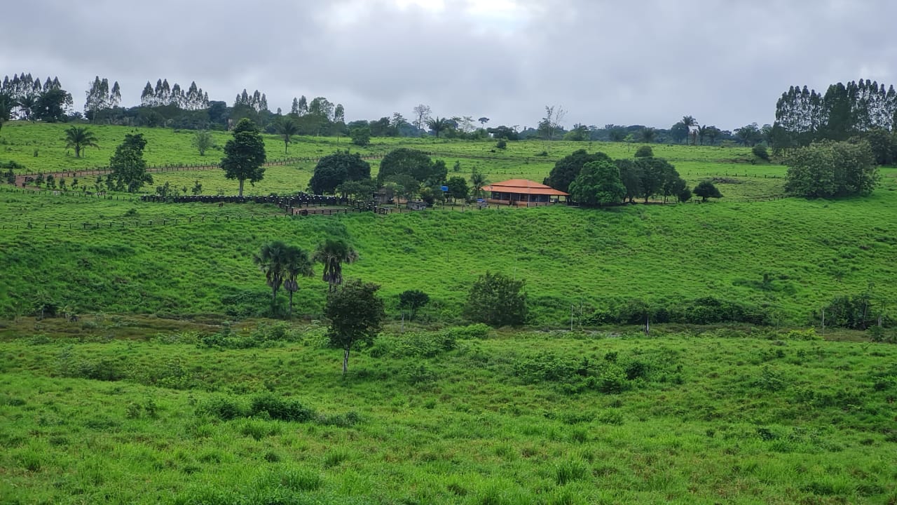 Fazenda à venda com 2 quartos, 100m² - Foto 3