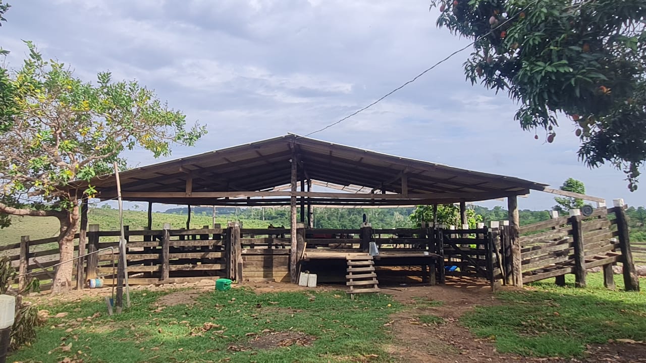 Fazenda à venda com 2 quartos, 100m² - Foto 8