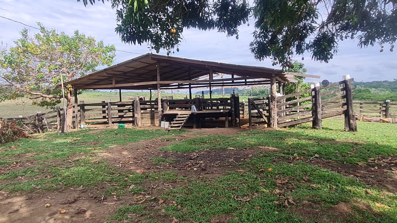 Fazenda à venda com 2 quartos, 100m² - Foto 7