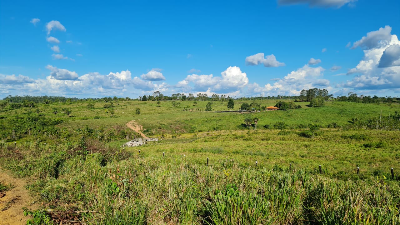 Fazenda à venda com 2 quartos, 100m² - Foto 5