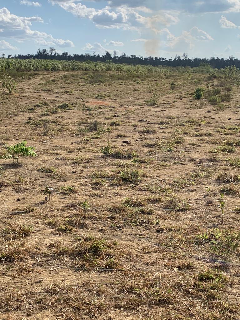 Fazenda à venda com 5 quartos, 1815m² - Foto 2