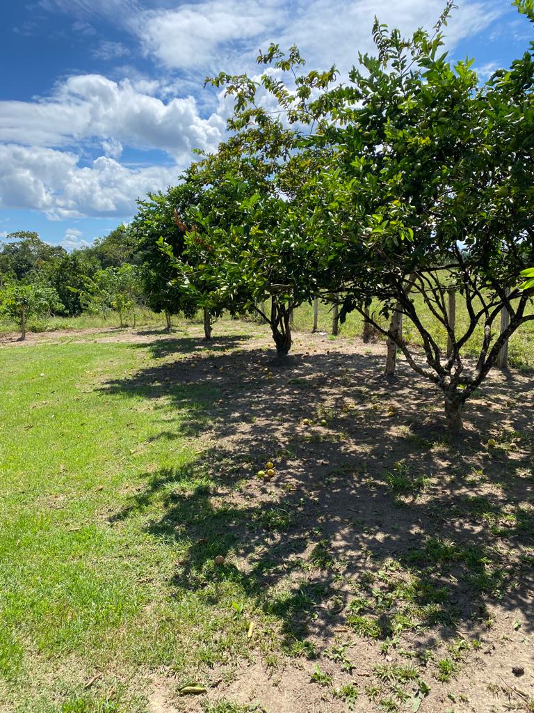 Fazenda à venda com 5 quartos, 1815m² - Foto 5