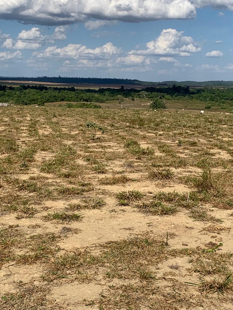 Fazenda à venda com 5 quartos, 1815m² - Foto 16