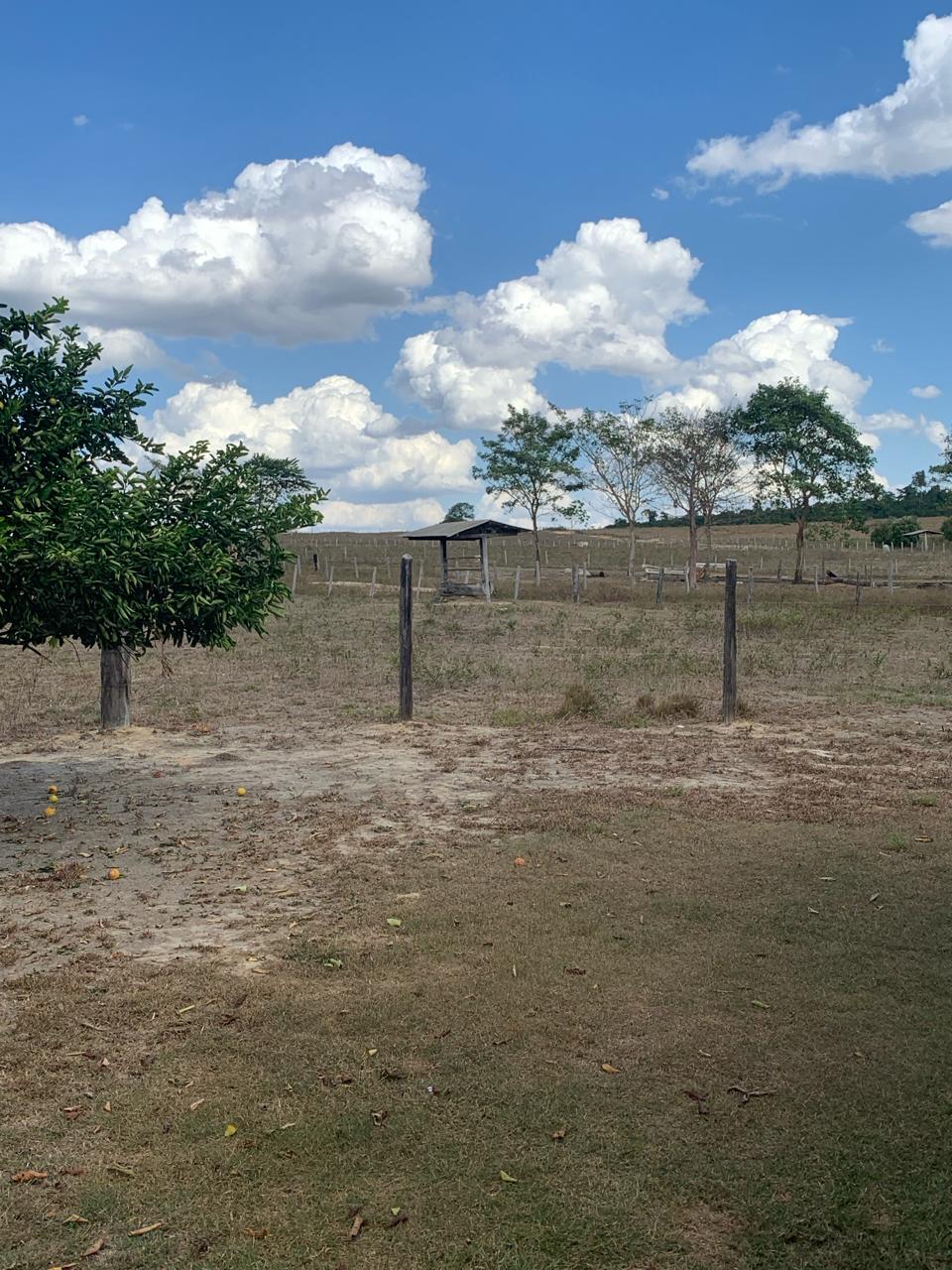 Fazenda à venda com 5 quartos, 1815m² - Foto 14