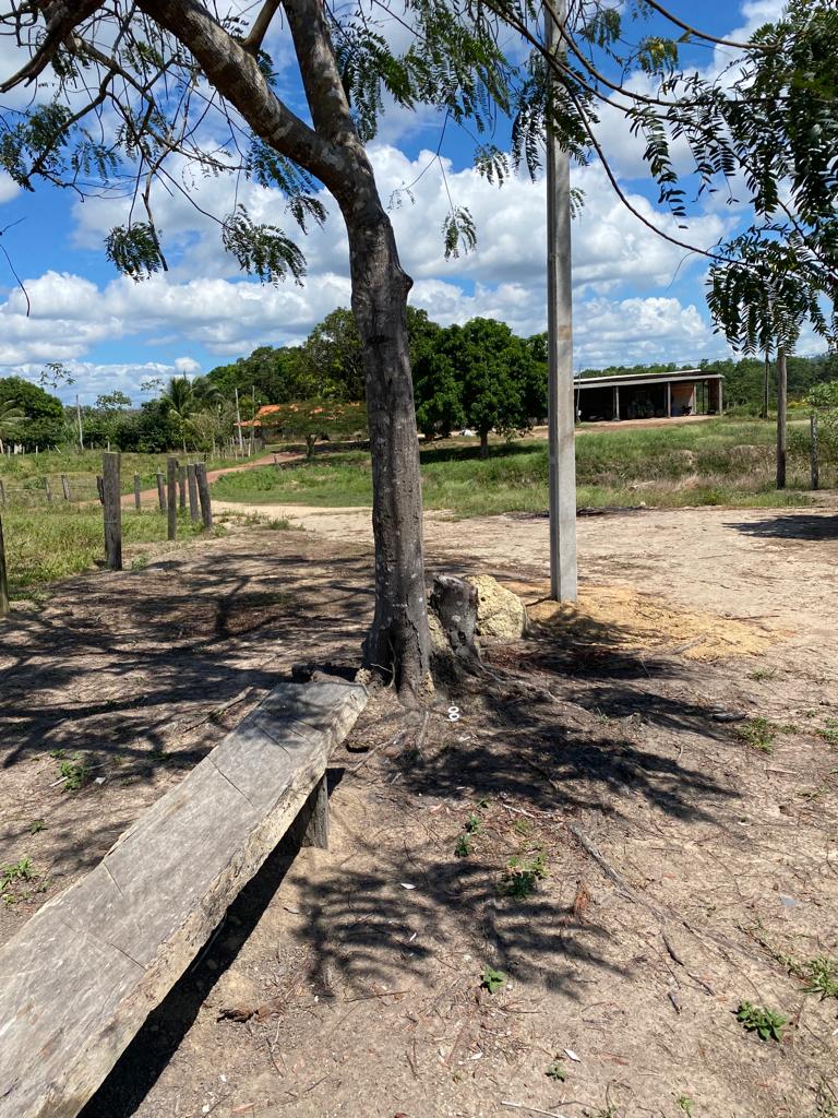 Fazenda à venda com 5 quartos, 1815m² - Foto 12