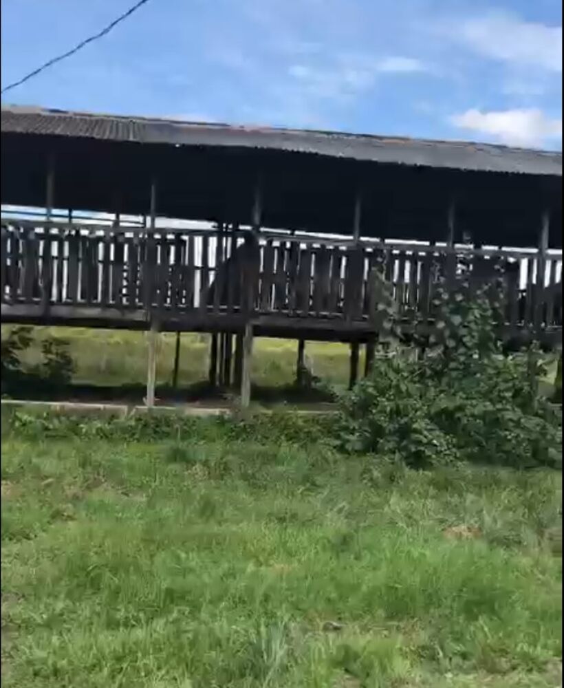 Fazenda, 87 m² - Foto 13