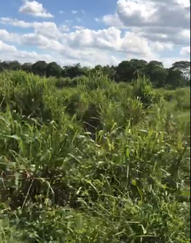 Fazenda, 87 m² - Foto 4